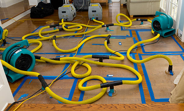 Professional Sewage Cleanup technician working in Winston-Salem, NC